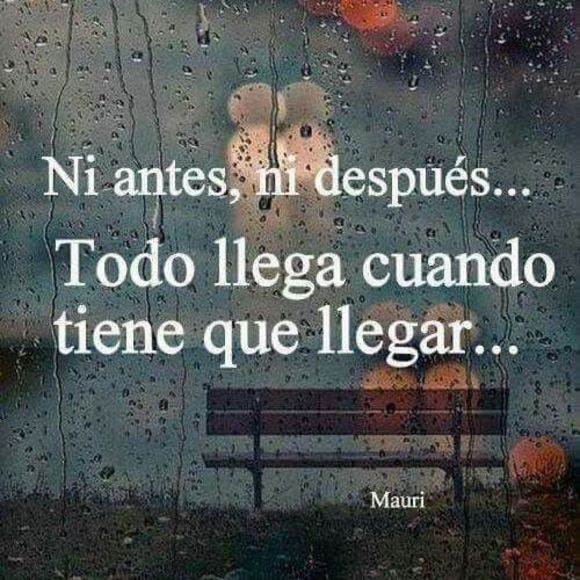 Meet your Posher, Laura - Picture 1 of 1